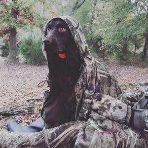 Meet your Posher, Evan